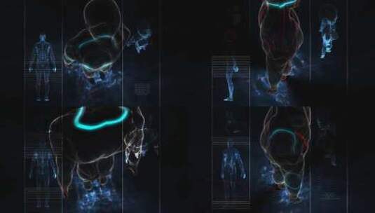 3D 人体模型 轮廓 光线高清在线视频素材下载