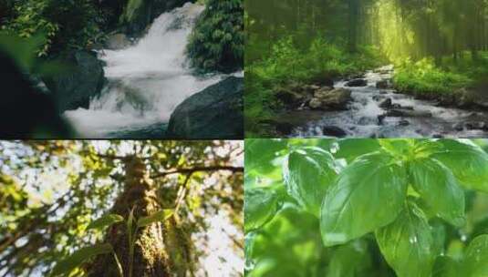 水大自然森林雨滴下雨树木溪流河水泉水树叶高清在线视频素材下载