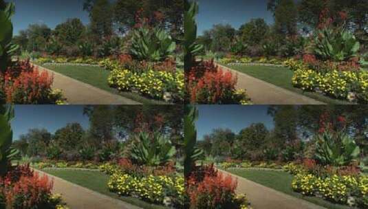 花园，黄花，草，树高清在线视频素材下载