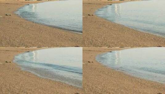 厦门观音山沙滩海滩海浪波浪 海边清晨 叙事高清在线视频素材下载