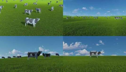 4k牧场草原奶牛高清在线视频素材下载