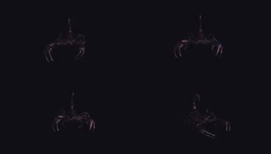黑蝎子-战斗环-I-前视图特写-Alph高清在线视频素材下载