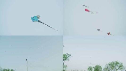 合集_春天放风筝4k高清在线视频素材下载