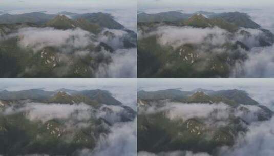 森林湖泊云海山川山脉云雾缭绕高清在线视频素材下载