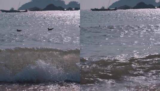 海面海浪上的海鸥高清在线视频素材下载