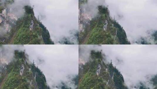 山谷里的云雾天气高清在线视频素材下载