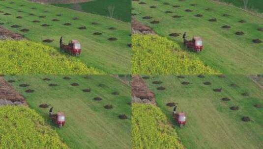 航拍农村麦田农家肥有机肥高清在线视频素材下载