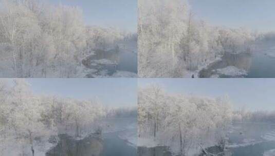 冬季长白山红松原始森林早晨温泉晨雾航拍高清在线视频素材下载