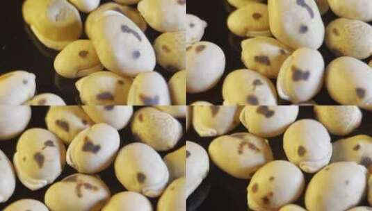 微距四k白扁豆高清在线视频素材下载