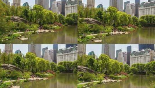 中央公园的池塘及周围建筑高清在线视频素材下载