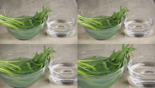 清水清洗韭菜去农残浸泡韭菜高清在线视频素材下载
