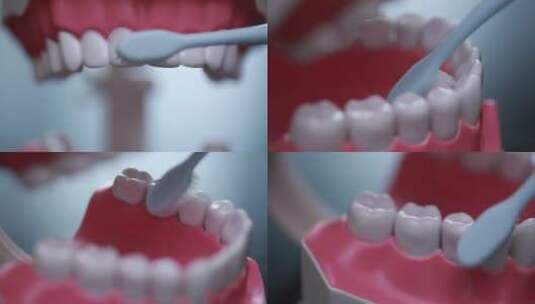 【镜头合集】牙齿模型演示刷牙~1高清在线视频素材下载