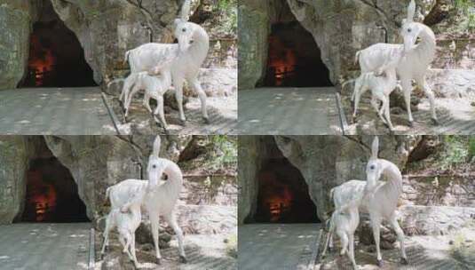 郴州苏仙岭白鹿洞雕塑洞口高清在线视频素材下载