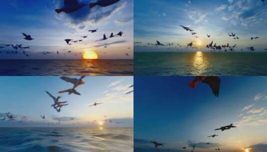 4K 夕阳下落湖面海鸥飞舞高清在线视频素材下载