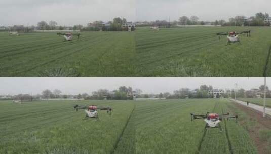 农业大疆植保无人机洒农药现代农业科技高清在线视频素材下载