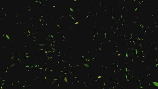4K绿色叶子冲屏动画 循环高清在线视频素材下载