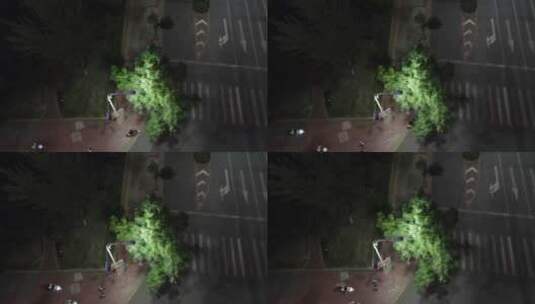 路灯下的树影高清在线视频素材下载