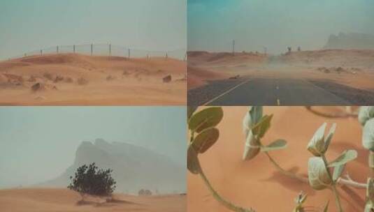 沙漠沙漠公路沙漠中的输电塔高清在线视频素材下载