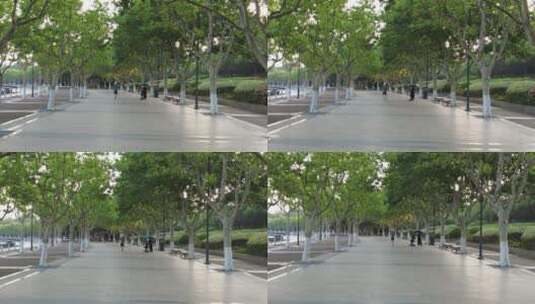 上海世纪公园上海世纪广场4K实拍高清在线视频素材下载