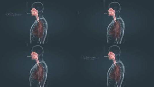 人体吸烟过程肺部感染黑肺癌肺部疾病三维高清在线视频素材下载