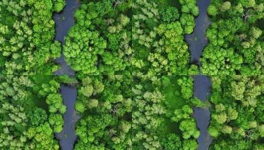 波兰绿色森林和蓝色河流鸟瞰图高清在线视频素材下载