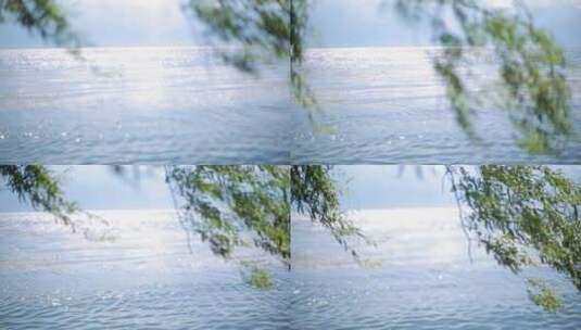 水边被风吹来的柳树枝条高清在线视频素材下载