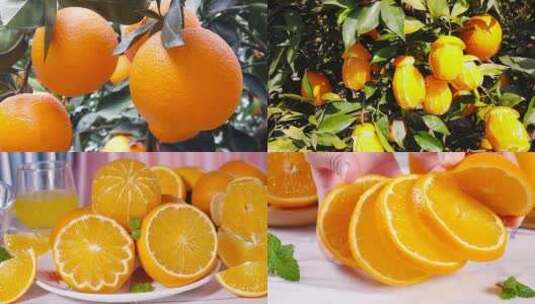 新鲜橙子组合高清在线视频素材下载