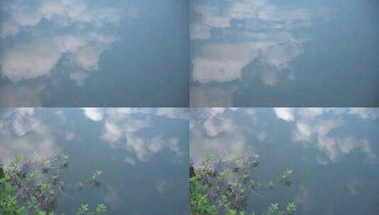 杭州西湖曲院风荷蓝天水中倒影4K视频合集高清在线视频素材下载