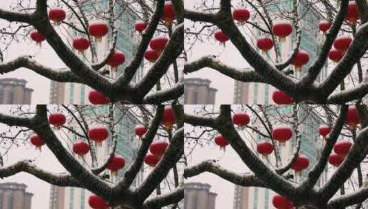 雪中的红灯笼视频素材春节年味瑞雪兆丰年高清在线视频素材下载