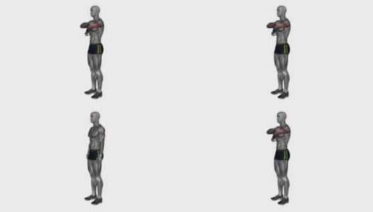 3D肱三头肌轻拉伸科学健身运动锻炼演示高清在线视频素材下载