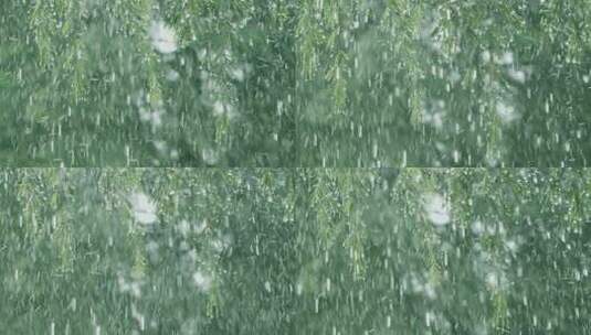 雨水谷雨雨树叶雨水春雨惊蛰下雨雨景高清在线视频素材下载
