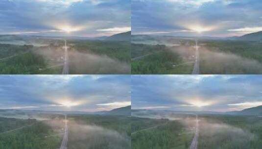 航拍夕阳照耀的云雾森林高清在线视频素材下载