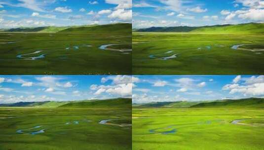阿坝曼扎塘草原湿地蓝天白云牦牛水湾延时高清在线视频素材下载