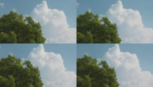 超大云彩云朵蓝天白云绿树高清在线视频素材下载