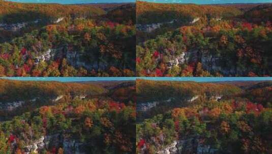 4K 鲜艳的秋天色彩高清在线视频素材下载
