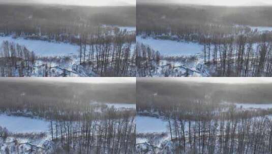 航拍冷空气笼罩的雪原树林高清在线视频素材下载