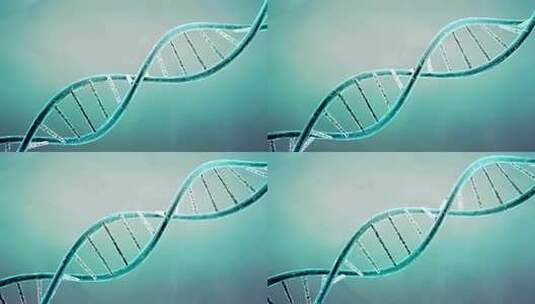 DNA分子，双螺旋链高清在线视频素材下载