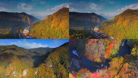 航拍秋季森林山谷 枫叶 溪流高清在线视频素材下载