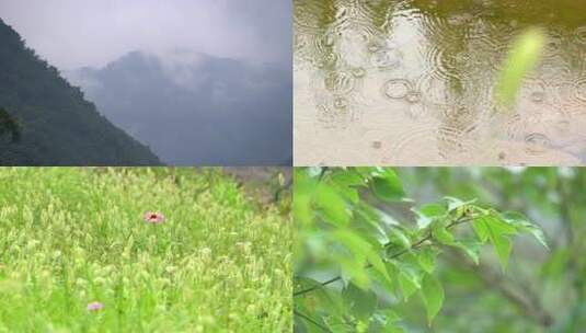 山间云雾缭绕的森林景色高清在线视频素材下载