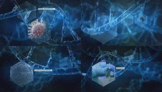科技感DNA结构展示医学介绍AE模板高清AE视频素材下载