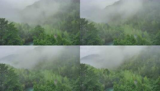 8K安吉山林雨季竹林山谷雨雾延时高清在线视频素材下载