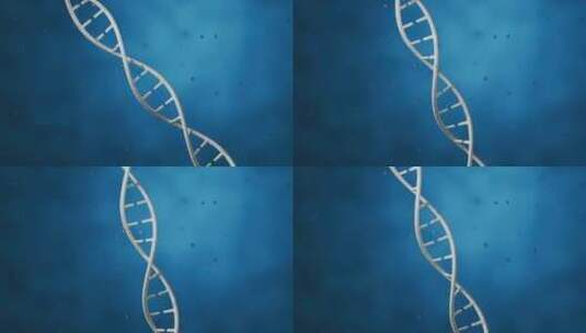 人体DNA基因三维立体空间高清AE视频素材下载