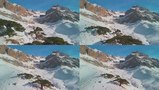 雪山松树自然风光高清在线视频素材下载