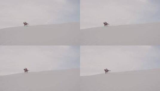 男人在沙漠骑马奔腾高清在线视频素材下载
