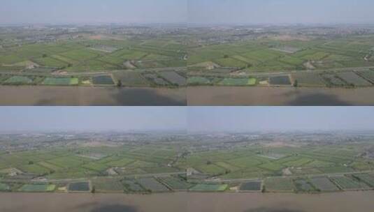 航拍农业种植稻田高清在线视频素材下载