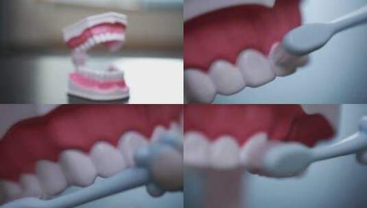 【镜头合集】牙齿模型演示刷牙方法高清在线视频素材下载