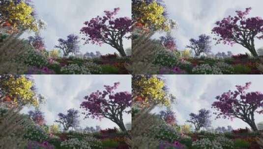 到处都是不同颜色花朵的花园高清在线视频素材下载