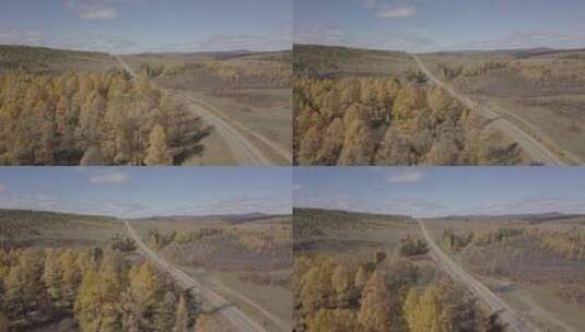 俄罗斯西伯利亚森林平原公路高清在线视频素材下载