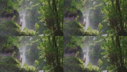 原始森林瀑布 森林  彩虹  瀑布  原始高清在线视频素材下载