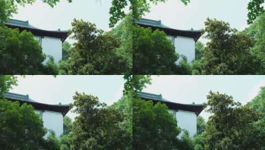 武汉东湖风景区屈原纪念馆高清在线视频素材下载